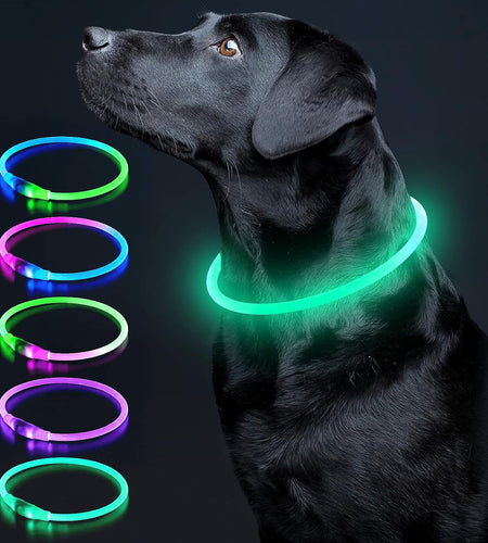 LED Dog Collar Light up Dog Collars 1 Count USB Rechargeable TPU Glow Safety Basic Dog Collars for Large Medium Small Dogs (Cyan)