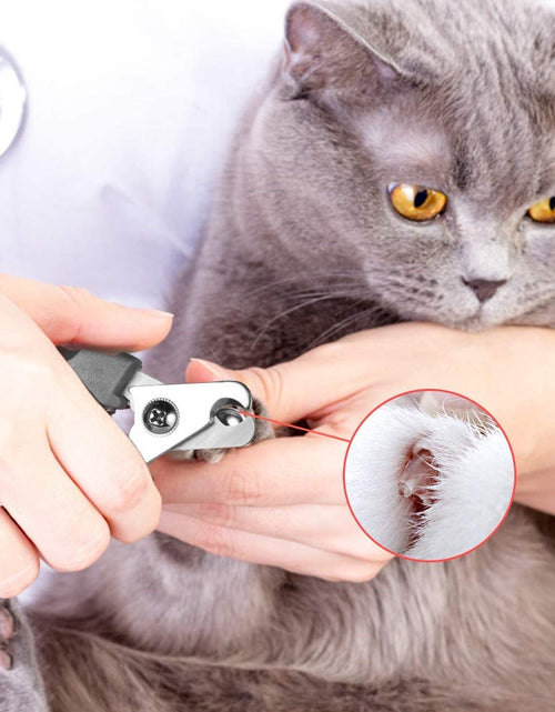 Load image into Gallery viewer, Dog Nail Clippers,Dog Nail Trimmers for Large Breed Dog with Quick Sensor,Safari Professional Cat Nail Clipper with Safety Guard and Nail File.
