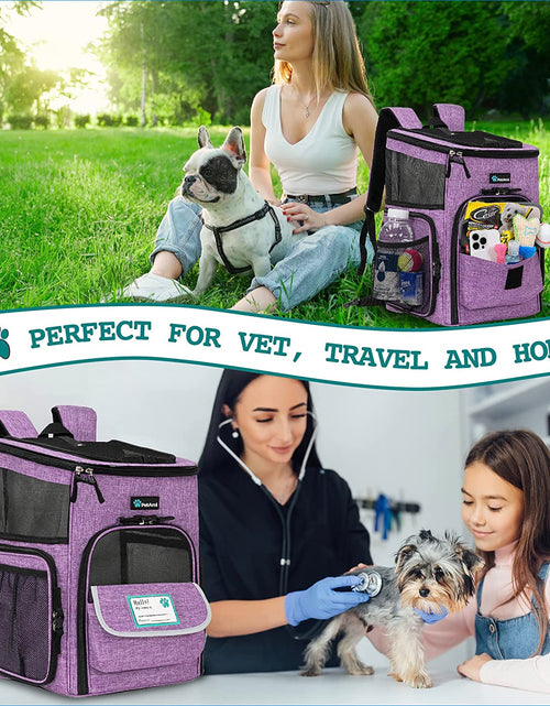 Load image into Gallery viewer, Dog Backpack Carrier, Airline Approved Cat Backpacks for Carrying Small Large Cats, Pet Carrier Back Pack, Ventilated Soft Sided Dog Cat Bookbag for Travel, Hiking, Camping, Purple
