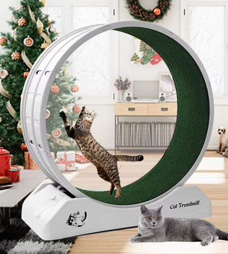 Cat Treadmill Wheel Exerciser for Kitty’S Longer Life Interesting Products Cat Running Wheel with Carpeted Runway Cats Toys Pet