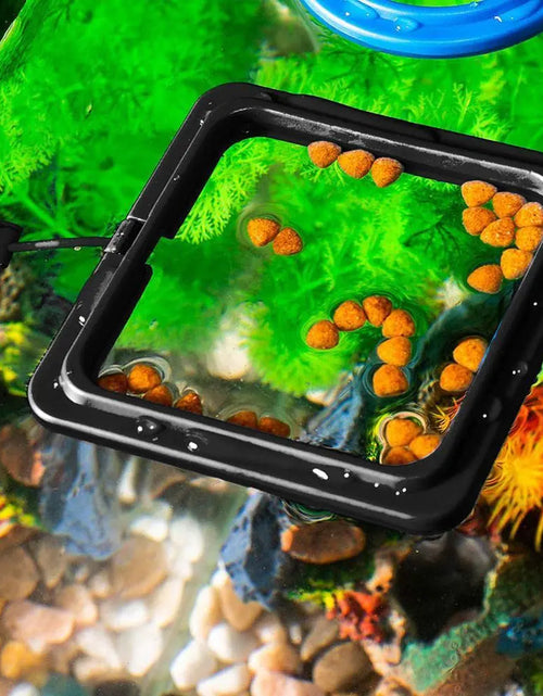 Load image into Gallery viewer, Fish Food Feeding Ring Aquarium Fish Tank Fish Feeder for Tropical Fish Food Feeding Assistant Pet Aquarium Accessories
