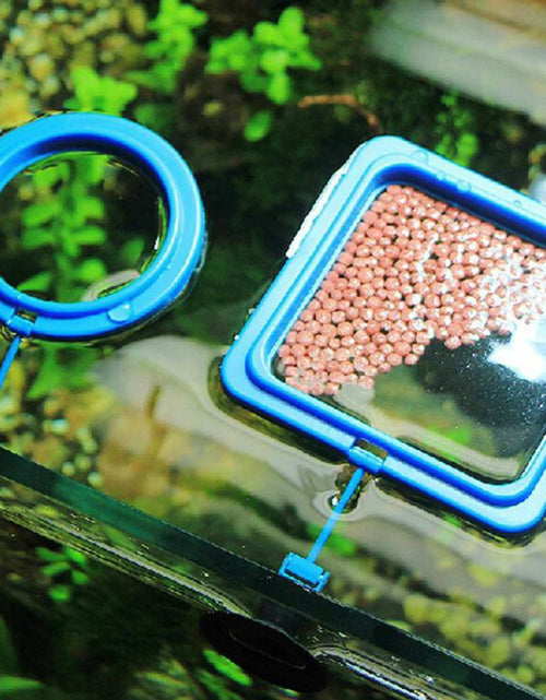 Load image into Gallery viewer, Fish Food Feeding Ring Aquarium Fish Tank Fish Feeder for Tropical Fish Food Feeding Assistant Pet Aquarium Accessories
